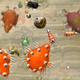 Spore
